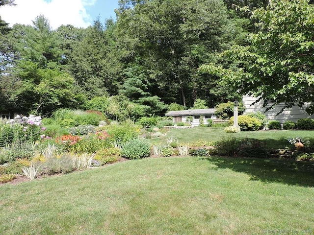 29 Graham Rd, East Windsor, CT 06016 - view of grassy yard