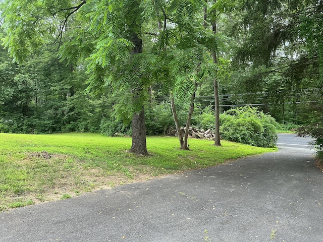 126 Main St N, Bethlehem, CT 06751 - photo 4