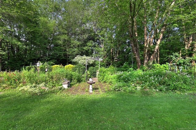 1288 Old Northfield Rd, Thomaston, CT 06787 - photo 33