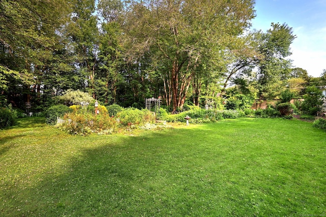 1288 Old Northfield Rd, Thomaston, CT 06787 - photo 34