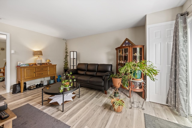 152 Lincoln St Unit 17, Waterbury, CT 06710 - living area featuring light wood-type flooring
