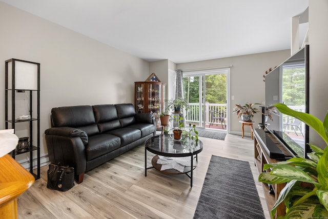 152 Lincoln St Unit 17, Waterbury, CT 06710 - living room with wood finished floors and baseboards