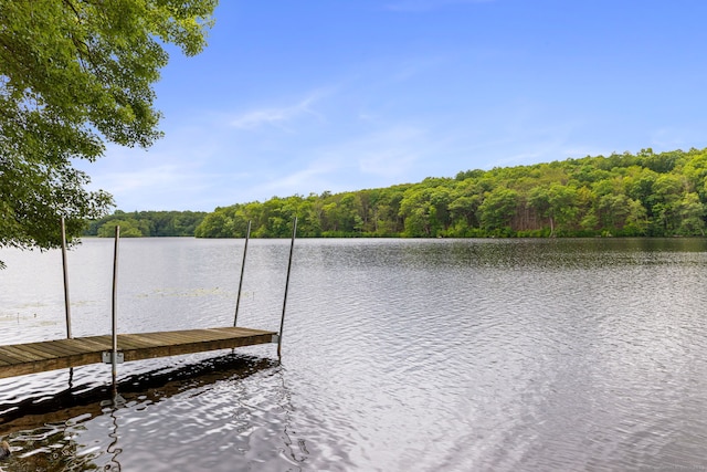 145 Lakeview Dr, Colchester, CT 06415 - dock featuring a water view and a forest view