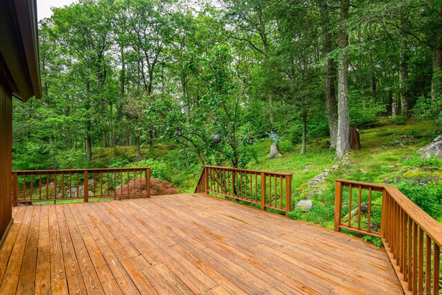 4 Spruce Mountain Trl, Danbury, CT 06810 - photo 21
