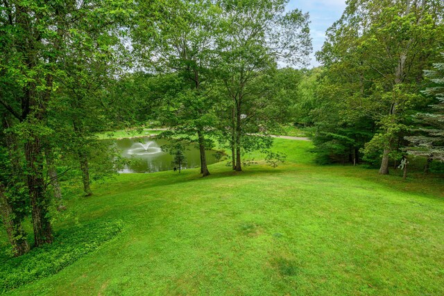 4 Spruce Mountain Trl, Danbury, CT 06810 - photo 22