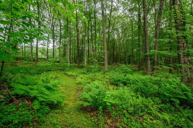 4 Spruce Mountain Trl, Danbury, CT 06810 - photo 25