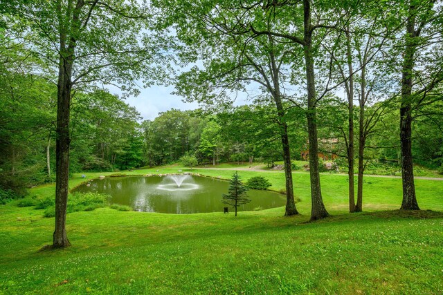 4 Spruce Mountain Trl, Danbury, CT 06810 - photo 26