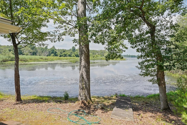 36 Dunleavy Dr, Woodstock, CT 06281 - photo 11