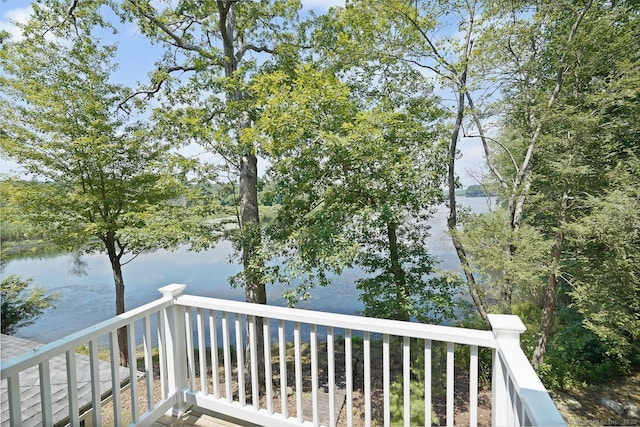 36 Dunleavy Dr, Woodstock, CT 06281 - photo 25