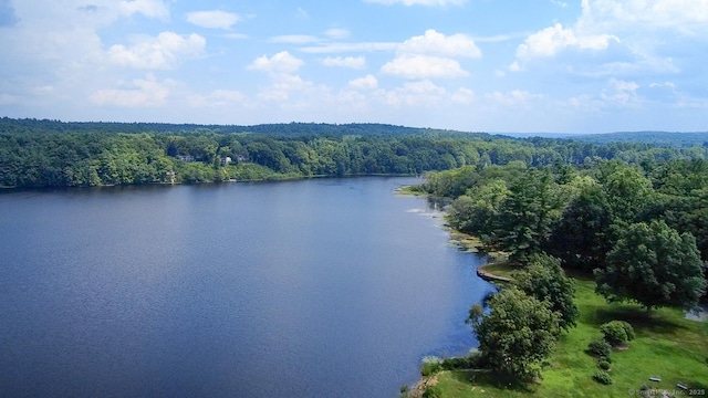 36 Dunleavy Dr, Woodstock, CT 06281 - photo 35