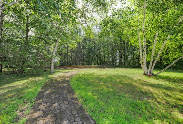 66 Mattatuck Rd, Bristol, CT 06010 - photo 32