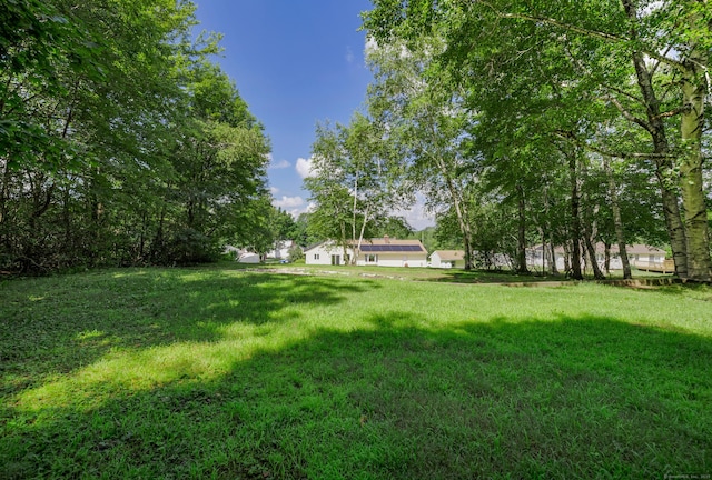 66 Mattatuck Rd, Bristol, CT 06010 - photo 34