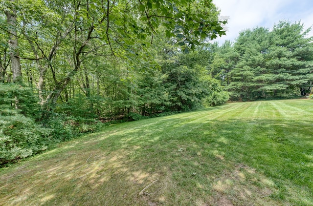 120 Songbird Ln Unit 120, Farmington, CT 06032 - view of green lawn with a view of trees