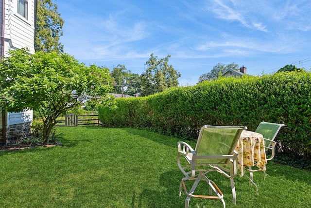 114 Mead Ave, Greenwich, CT 06830 - photo 21