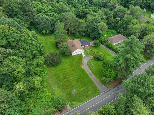 596 Bound Line Rd, Wolcott, CT 06716 - photo 36