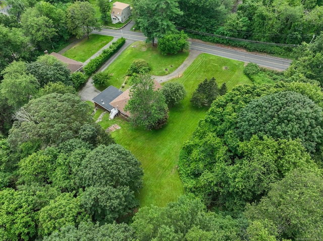 596 Bound Line Rd, Wolcott, CT 06716 - photo 38