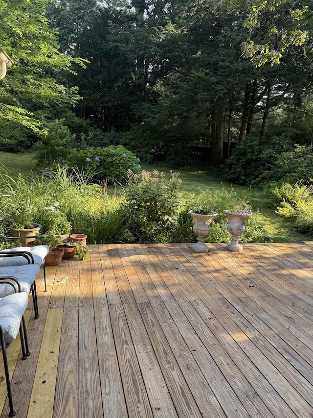 22 Bryden Ter, Hamden, CT 06517 - photo 21