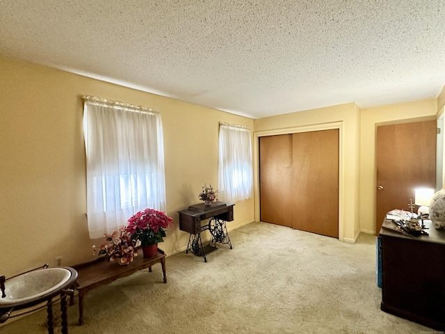 52 Midland Rd, Windsor Locks, CT 06096 - living area featuring carpet and a textured ceiling