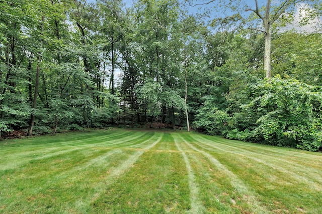 92 Stendahl Dr, Shelton, CT 06484 - photo 32
