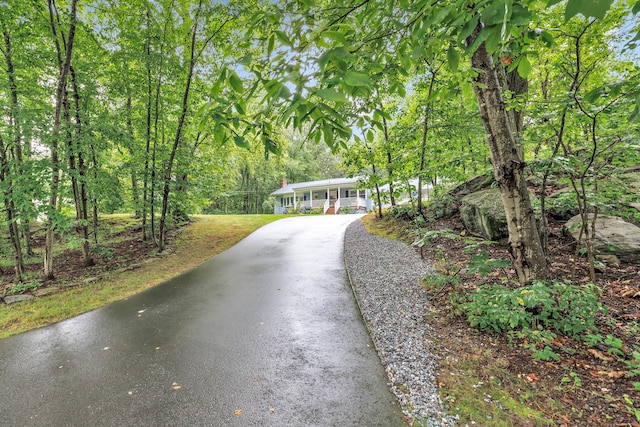 92 Stendahl Dr, Shelton, CT 06484 - photo 36