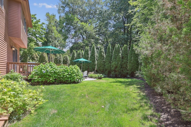 35 Macintosh Ln Unit 35, Glastonbury, CT 06033 - photo 31