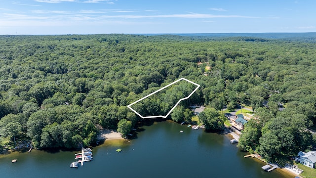 1 Laurel Cove Beach Rd, East Haddam, CT 06423 - photo 2
