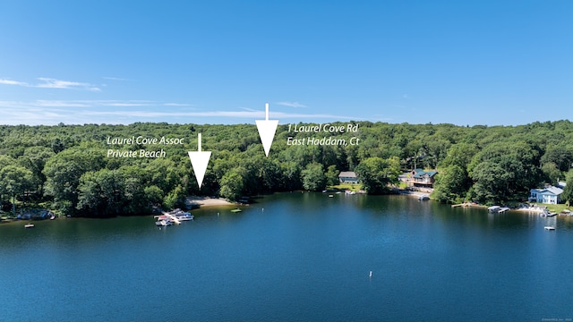 1 Laurel Cove Beach Rd, East Haddam, CT 06423 - photo 10