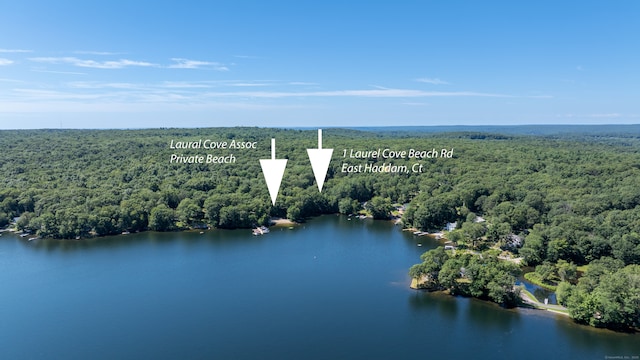 1 Laurel Cove Beach Rd, East Haddam, CT 06423 - photo 6