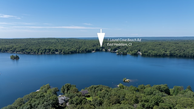 1 Laurel Cove Beach Rd, East Haddam, CT 06423 - photo 7