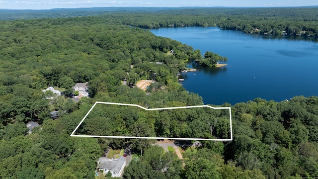1 Laurel Cove Beach Rd, East Haddam, CT 06423 - photo 1