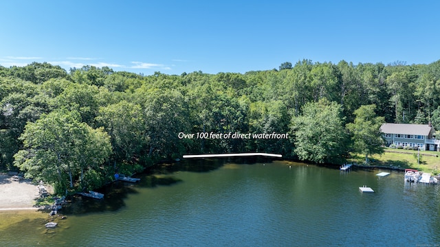 1 Laurel Cove Beach Rd, East Haddam, CT 06423 - photo 3