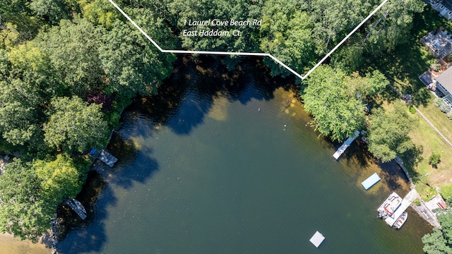 1 Laurel Cove Beach Rd, East Haddam, CT 06423 - photo 4