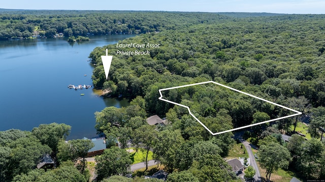 1 Laurel Cove Beach Rd, East Haddam, CT 06423 - photo 8