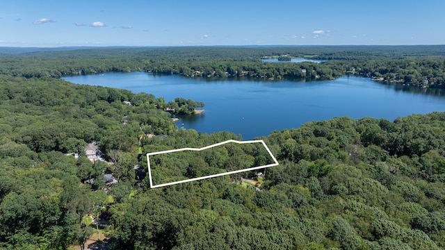 1 Laurel Cove Beach Rd, East Haddam, CT 06423 - photo 9