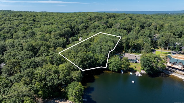 1 Laurel Cove Beach Rd, East Haddam, CT 06423 - photo 11