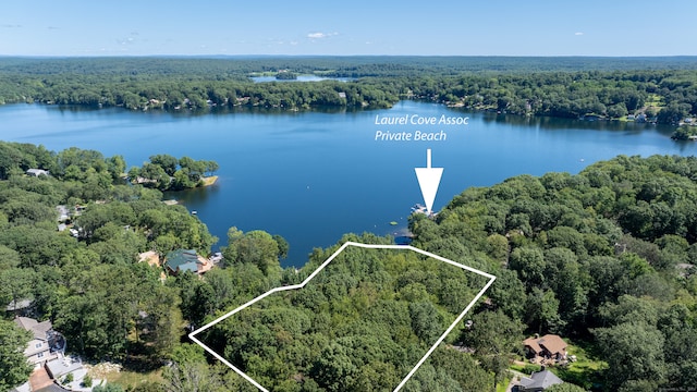 1 Laurel Cove Beach Rd, East Haddam, CT 06423 - photo 12