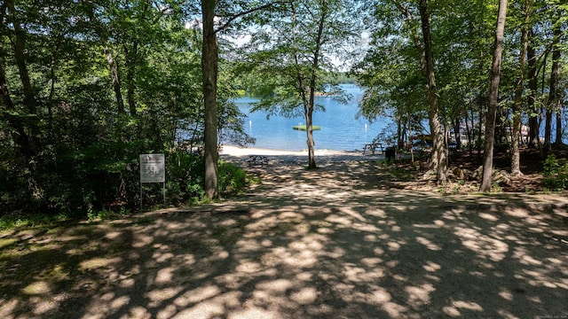 1 Laurel Cove Beach Rd, East Haddam, CT 06423 - photo 13