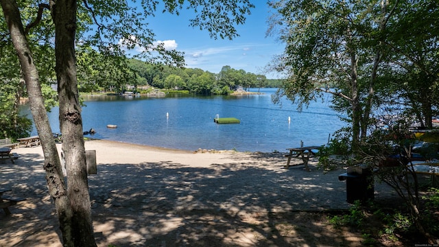 1 Laurel Cove Beach Rd, East Haddam, CT 06423 - photo 14