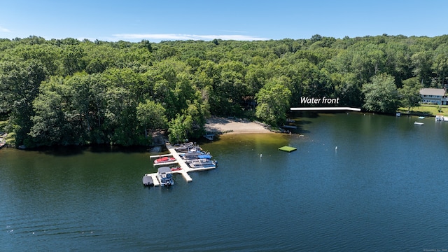 1 Laurel Cove Beach Rd, East Haddam, CT 06423 - photo 15