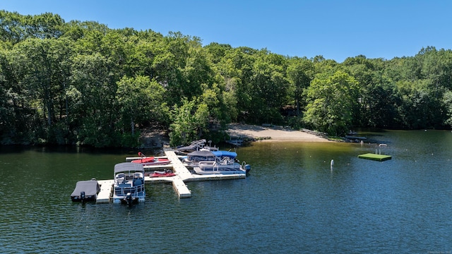 1 Laurel Cove Beach Rd, East Haddam, CT 06423 - photo 16