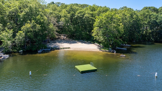 1 Laurel Cove Beach Rd, East Haddam, CT 06423 - photo 17