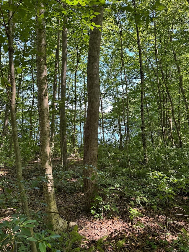1 Laurel Cove Beach Rd, East Haddam, CT 06423 - photo 24