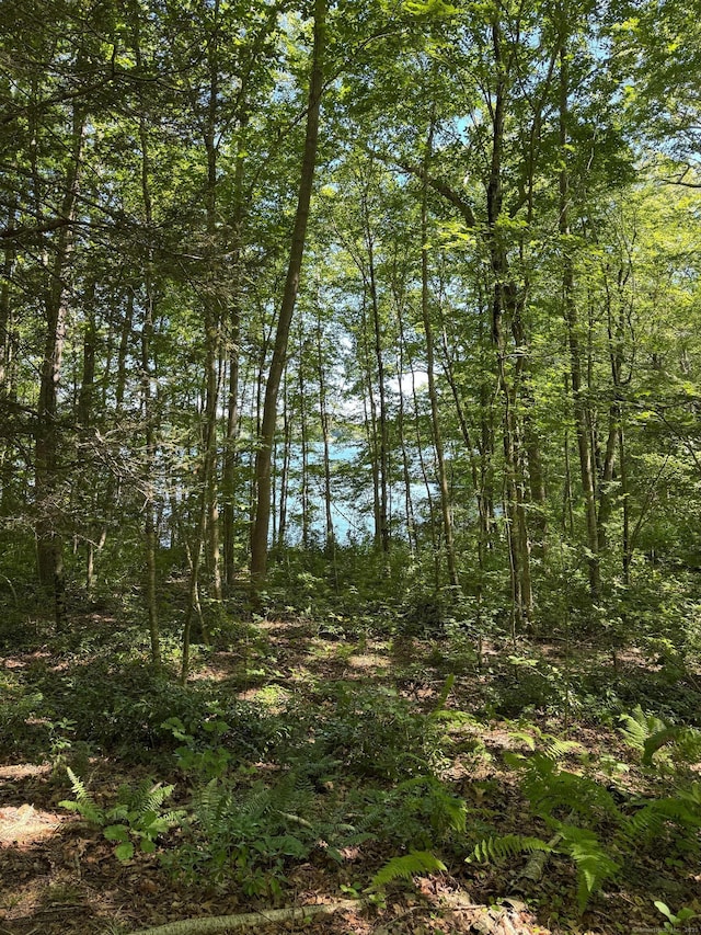 1 Laurel Cove Beach Rd, East Haddam, CT 06423 - photo 26