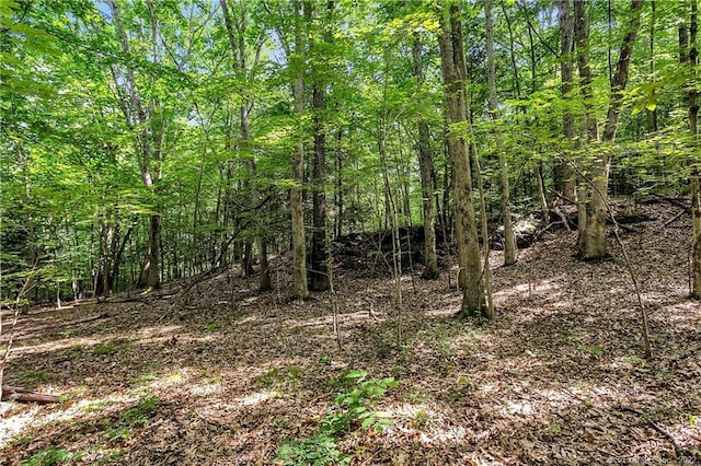 200 N St, Roxbury, CT 06783 - photo 4
