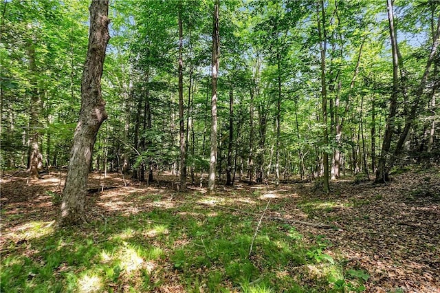 200 N St, Roxbury, CT 06783 - photo 6