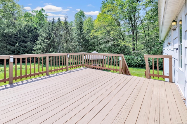 14 Queen St, Shelton, CT 06484 - photo 26