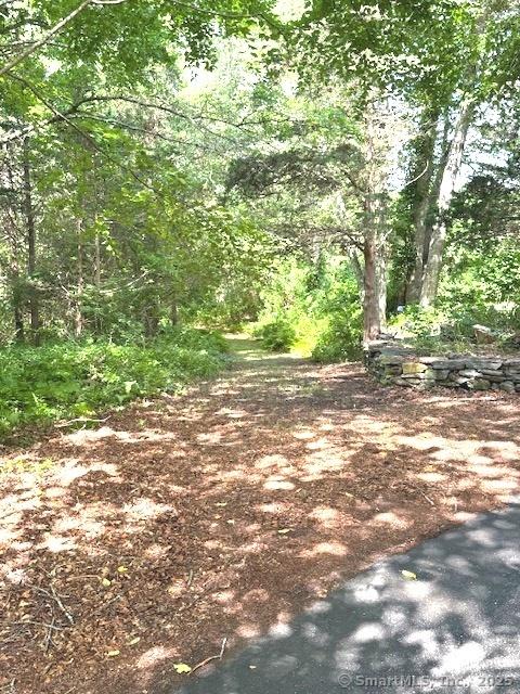 67 Bergendahl Dr, Griswold, CT 06351 - view of wooded area