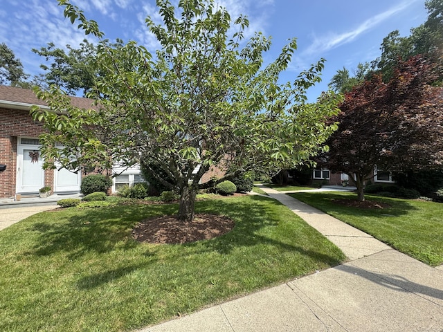 10 Willowbrook Ct Unit 10, Stamford, CT 06902 - obstructed view of property featuring brick siding, a front yard, and roof with shingles