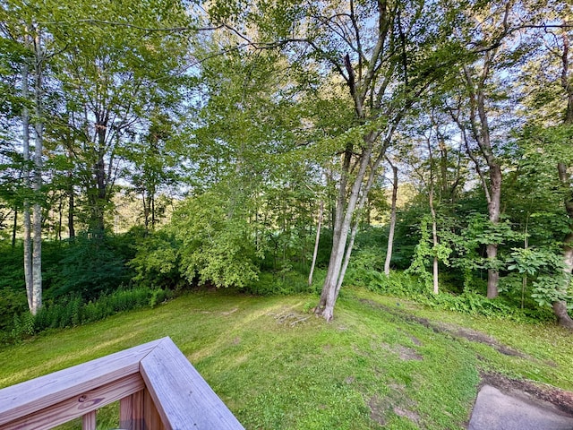 92 Cynthia Ln Apt E1, Middletown, CT 06457 - view of grassy yard