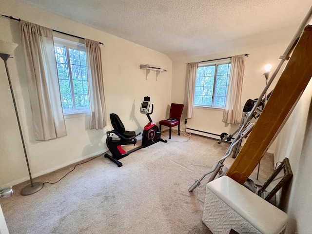 92 Cynthia Ln Apt E1, Middletown, CT 06457 - workout room featuring healthy amount of natural light, a textured ceiling, carpet, and a baseboard radiator